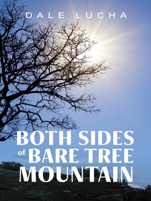 cover image of Both Sides of Bare Tree Mountain